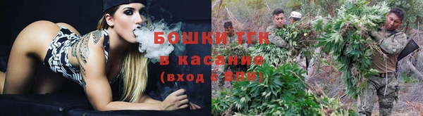 гашик Заволжск