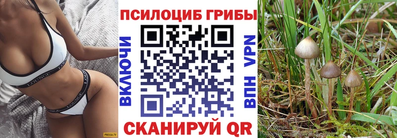 Псилоцибиновые грибы GOLDEN TEACHER  где можно купить наркотик  Северо-Курильск 